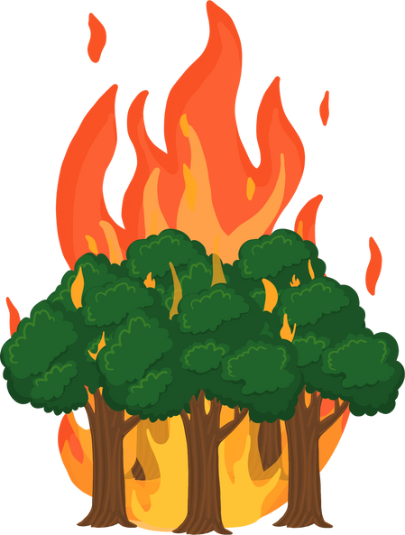 Forest Fire illustration