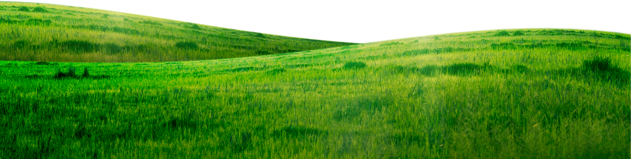 Green Grass Hill Isolated